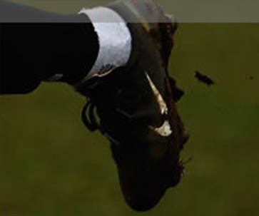 Cherrelle Albert der Watford Frauen pr sentiert 15 Jahre alte Nike